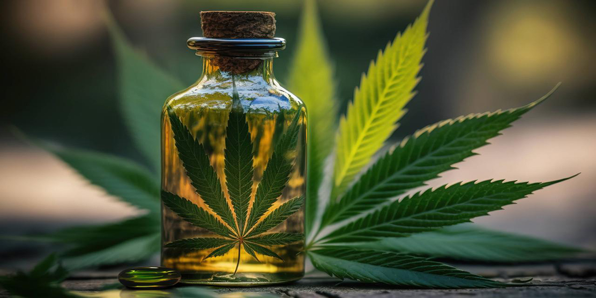 Legal Status of CBD A Comprehensive Guide for Travelers