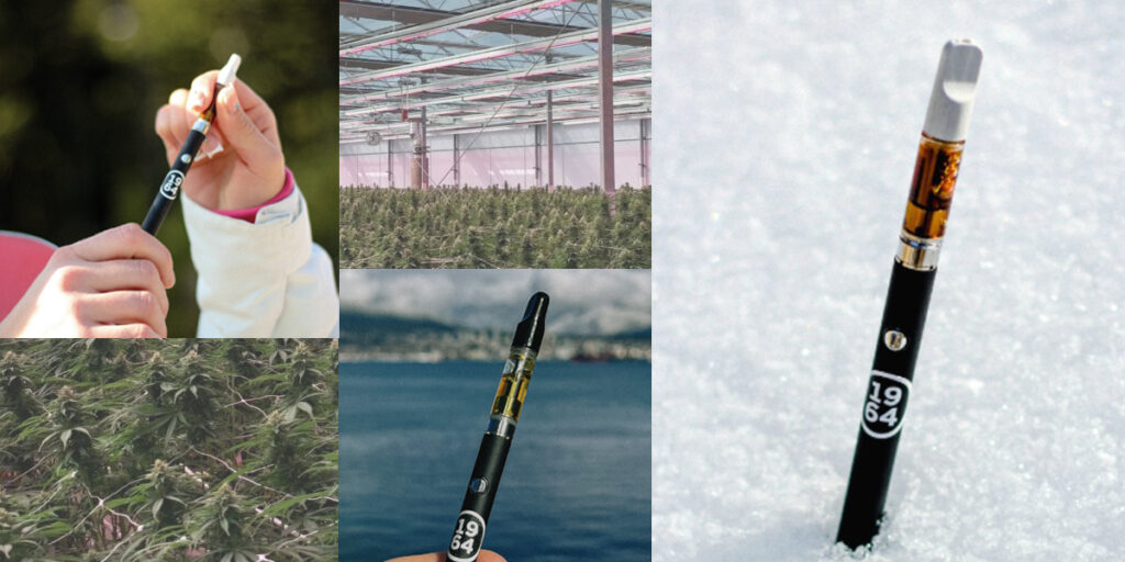Rubicon Organics Company's Growth Potential with E-Cigarette Line